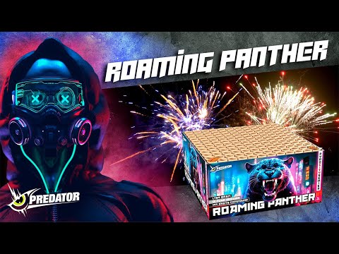 Lesli | Roaming Panther | 144-Schuss