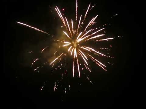 El Gato | Fiesta Dorada | 100-Schuss