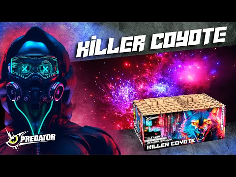 Lesli | Killer Koyote | 108-Schuss