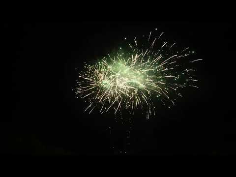 FWS Feuerwerk | Savage | 82-Schuss