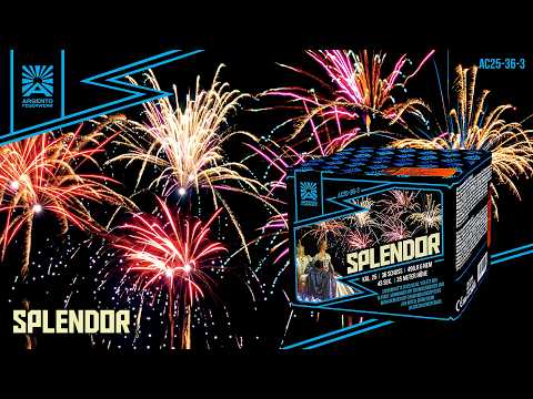 Argento | Splendor | 36-Schuss