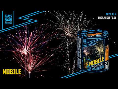Argento | Nobile | 10-Schuss