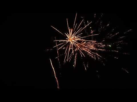 Riakeo | Lion | 25-Schuss