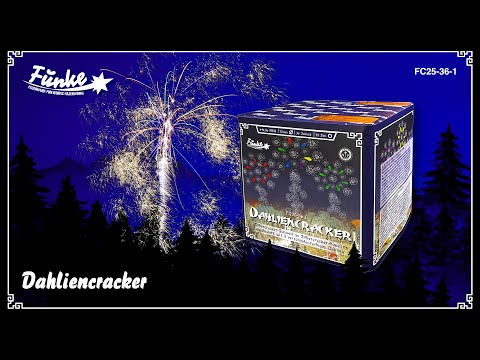 Funke | Dahliencracker | 36-Schuss